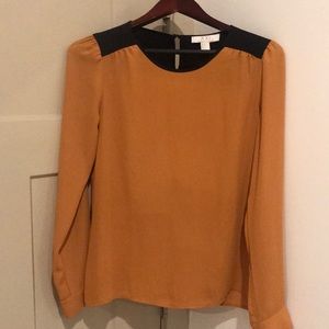 Black and Gold Blouse